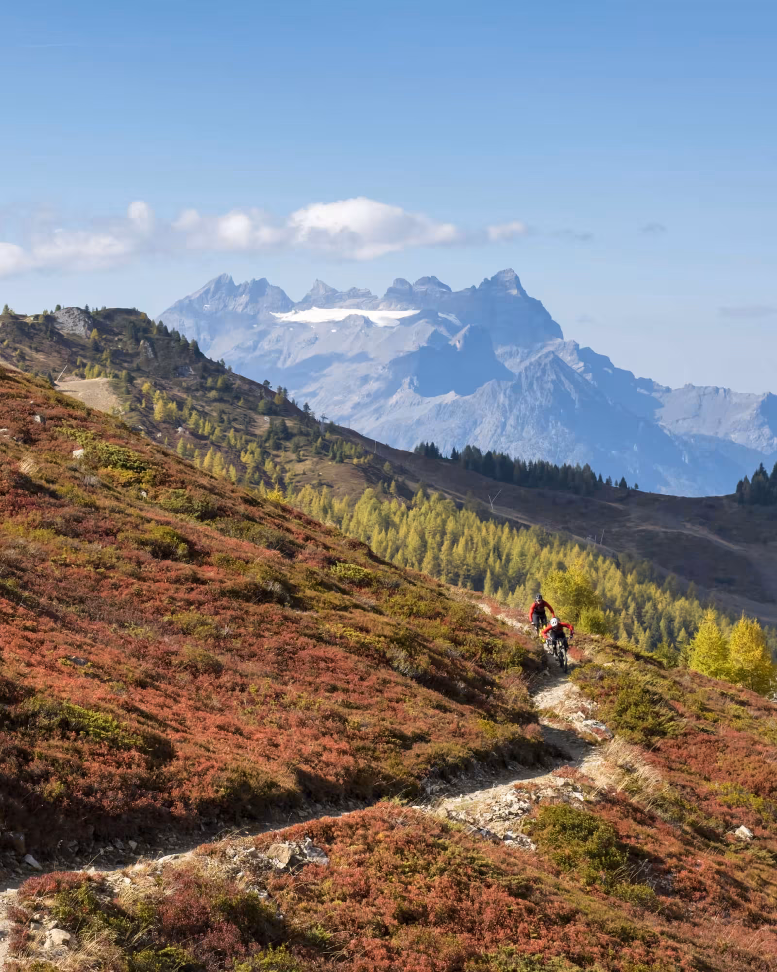 Mountain bikers riding outdoors