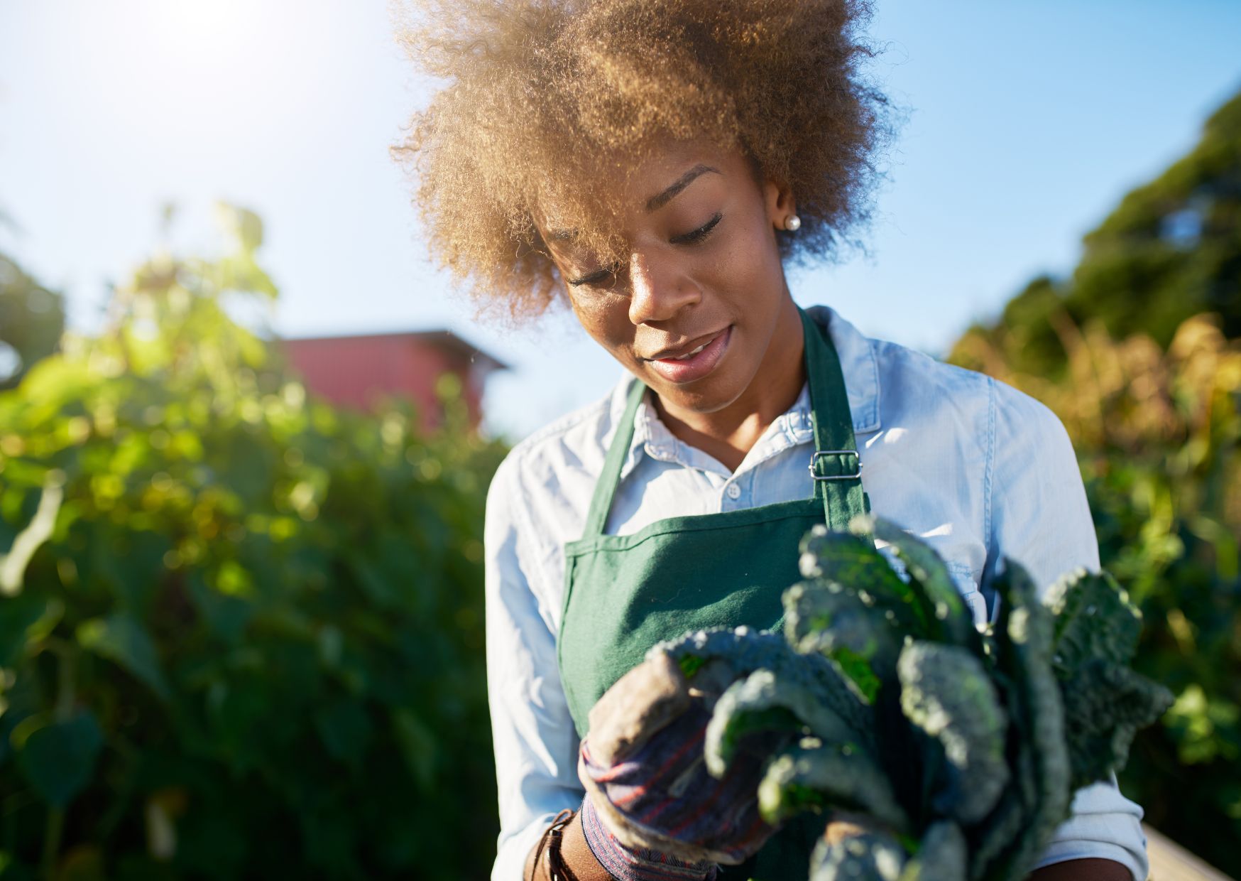 A women looking at a bunch of kale in a hotel garden.